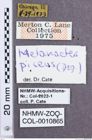 Etikette zu Melanactes piceus (NHMW-ZOO-COL-0010865)